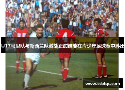 U17马里队与新西兰队激战正酣谁能在青少年足球赛中胜出